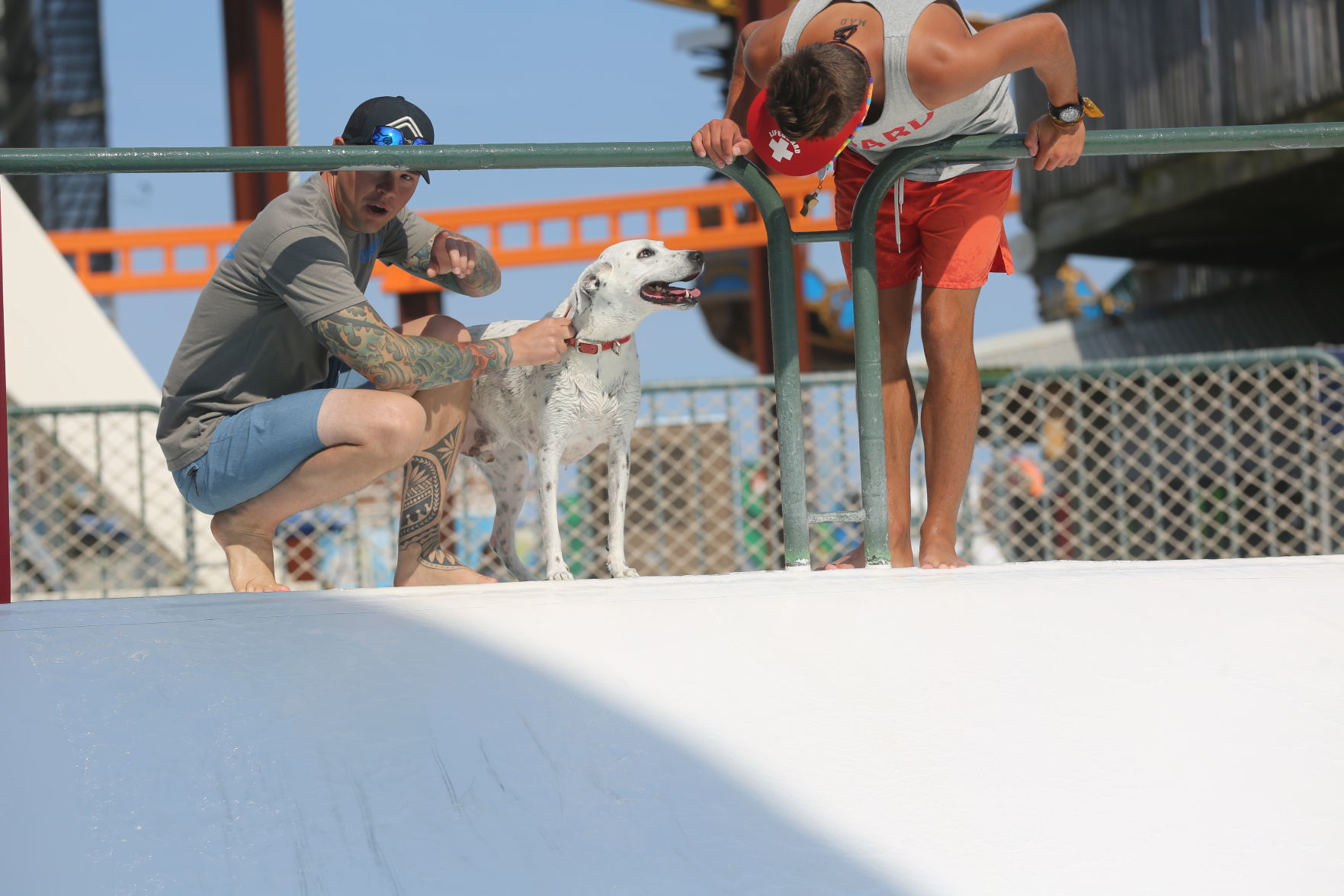 090919_gal_WWdogs (14)